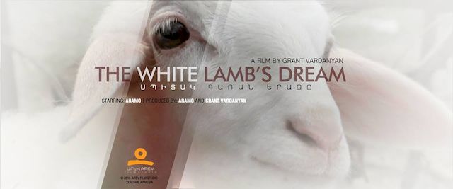 Beyaz Kuzunun Rüyası / White Lamb’s Dream