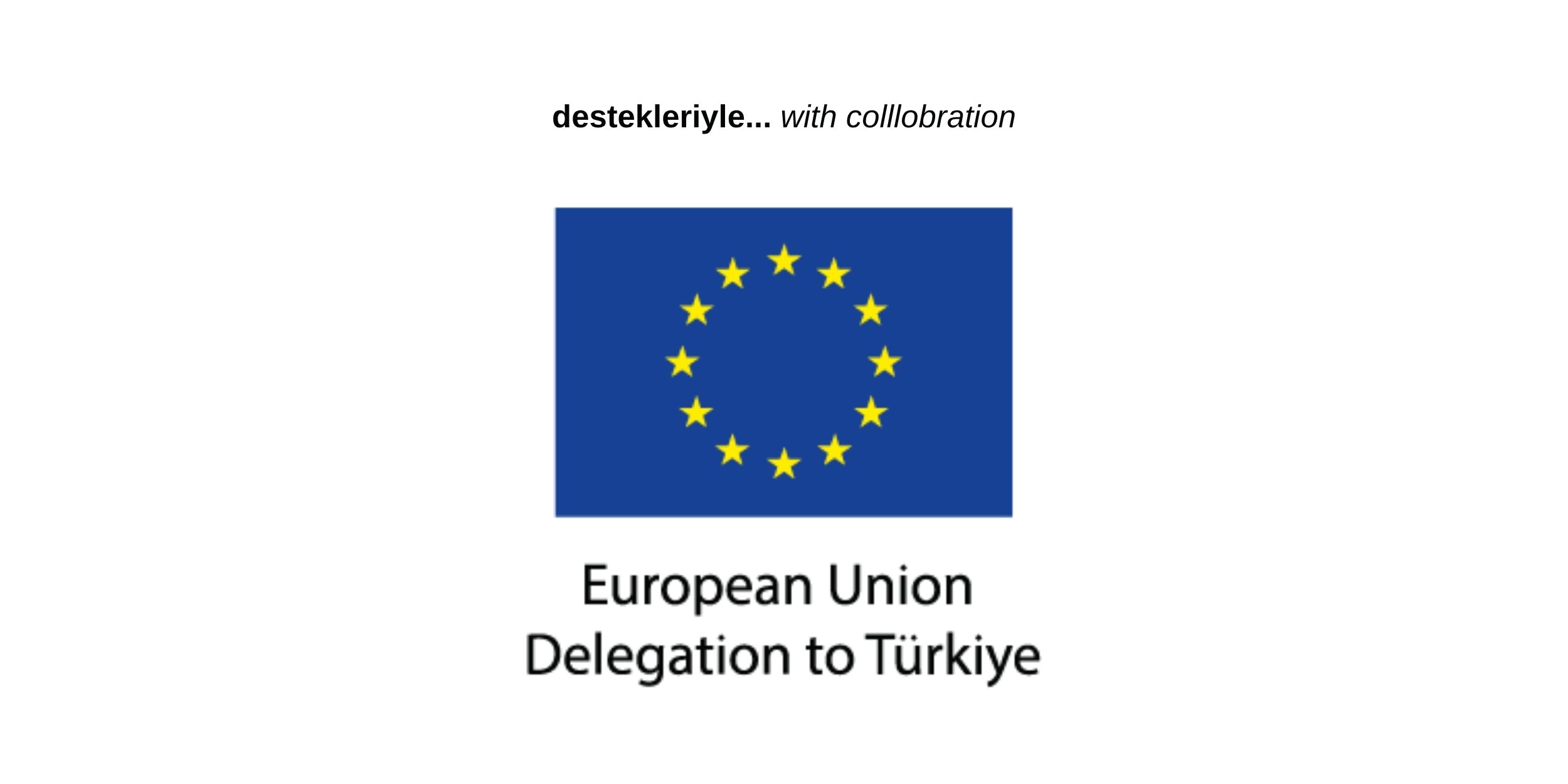 logo_ab-turkiye-delegasyonu